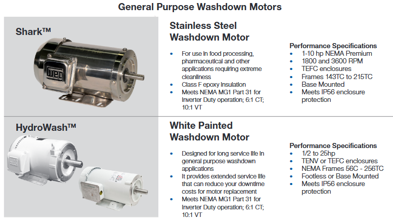 WEG Washdown Duty Motors